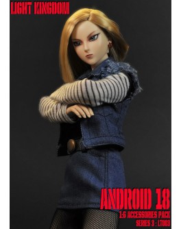 Light Kingdom LT003 1/6 Scale Android 18 Accessories Pack