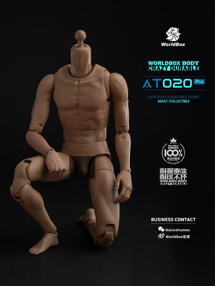 World Box 1/6 Upgrade Universal Action Figure Body [WB-AT020PRO]