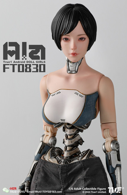 True1Toys (FT0830) 1/6 Scale Android Ala Figure