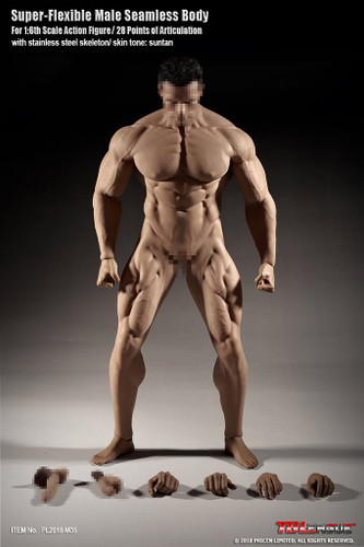 Super Flexible Seamless Male Body: Muscular w/ Metal Structure - Boxed Figure (PL2018-M35) (NO HEAD SCULPT INCLUDED)