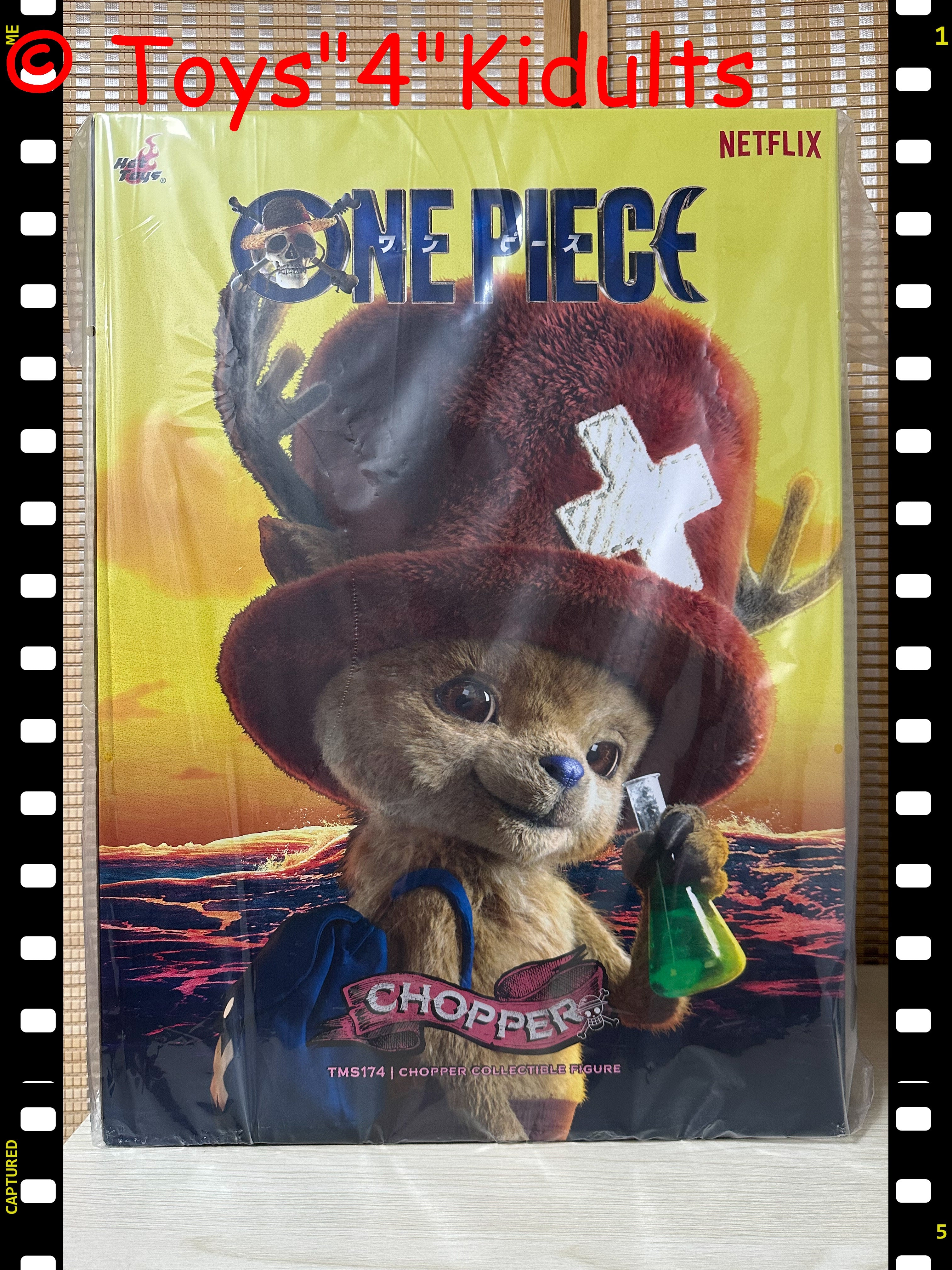 Hottoys Hot Toys 1/6 Scale TMS174 TMS 174 One Piece - Tony Tony Chopper Action Figure NEW