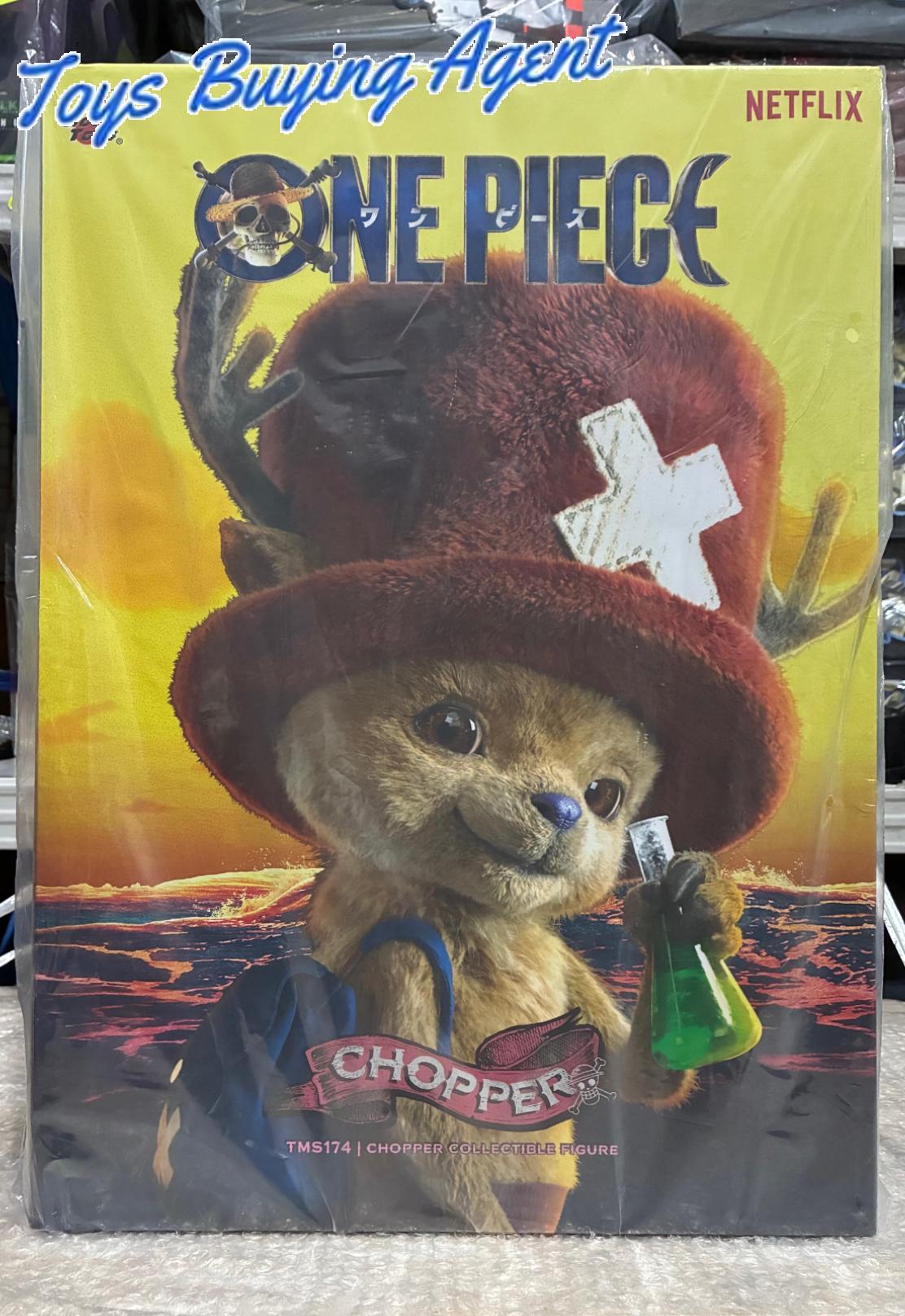 Ready! Hot Toys TMS174 One Piece Chopper