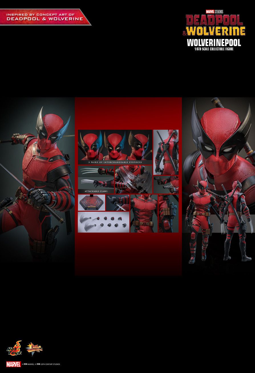 Hottoys Hot Toys 1/6 Scale MMS857 MMS 857 Deadpool & Wolverine - Wolverinepool Action Figure NEW