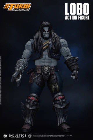 Storm collectibles Injustice Gods Among us Lobo