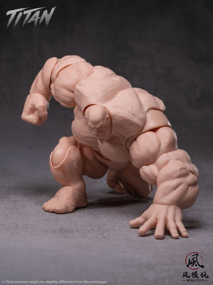 Wind Toys 1:12 Super Action Muscle Body [WIN-FMW009-12]