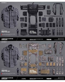 DAMTOYS VSF02 1/6 Scale TACTICAL LOW - PROFILE PLATE CARRIER SYSTEMS