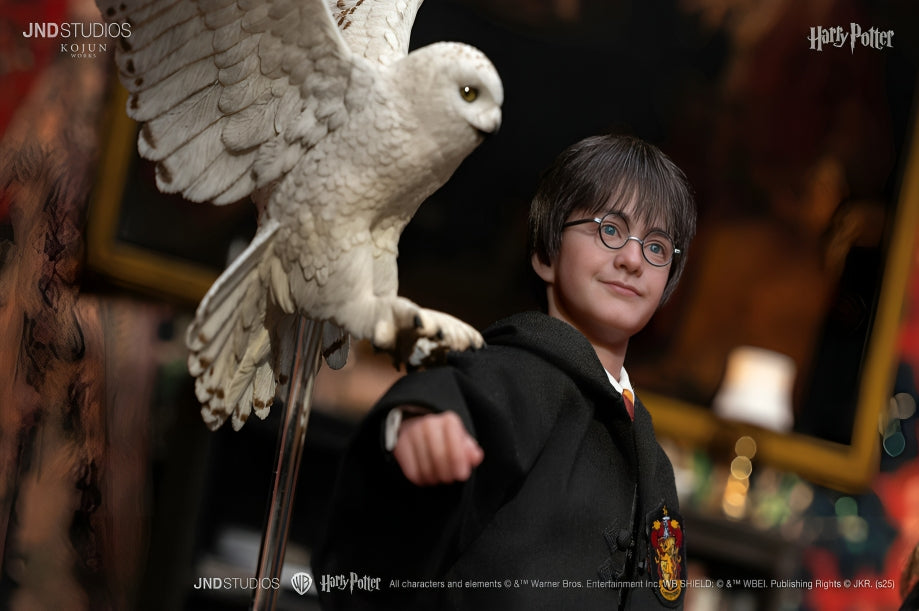 Harry Potter Series (Type C) Complete Set Of 3 Figures